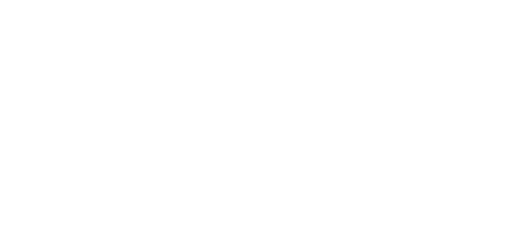 Loco steenwijk